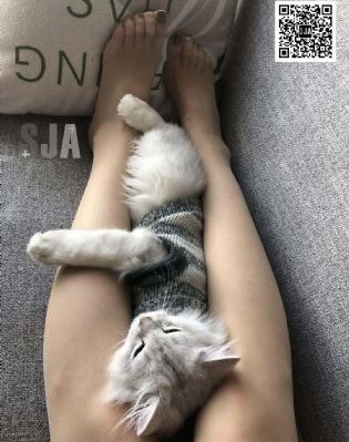 好想谈恋爱 电视剧_4K完整版观看